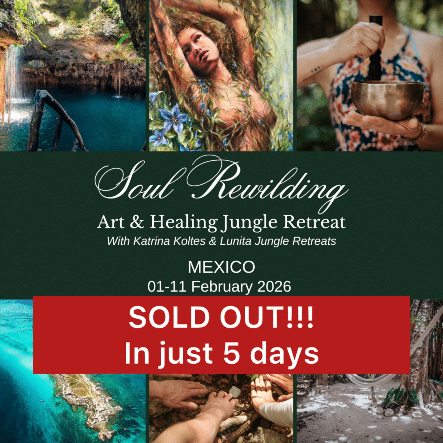soul-rewilding-retreat-mexico-2026-sold-out-katrina-koltes