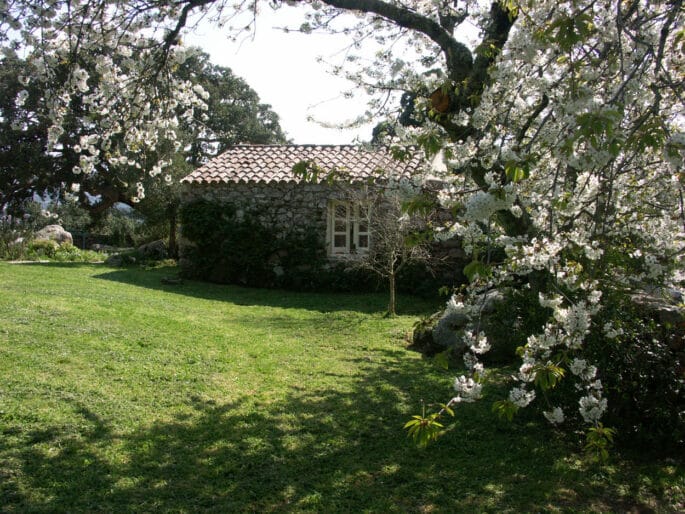 Private Bungalow Room - Sardinia - Image 11
